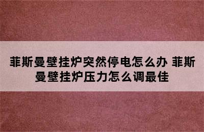 菲斯曼壁挂炉突然停电怎么办 菲斯曼壁挂炉压力怎么调最佳